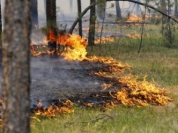 Лесные пожары на Алтае будут тушить с применением новых технологий
