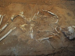 Американские археологи обнаружили древние могилы живых мертвецов