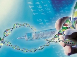 Ученые установили, что предрасположенность к онкологии зависит от генов