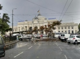 В Одессе создали штаб по ликвидации последствий непогоды: стихия повредила 30 деревьев и затопила улицы