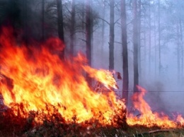 В Калифорнии лесной пожар угрожает тысячам жилых домов