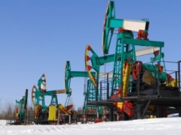 Нефть торгуется в минусе на данных от API по запасам сырья