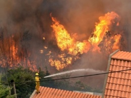 Остров Мадейра в огне: сотни человек эвакуированы из-за сильных лесных пожаров