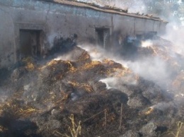 В Очаковском районе сгорел и 1 га сухой травы, и бывший жилой дом, где хранилось сено