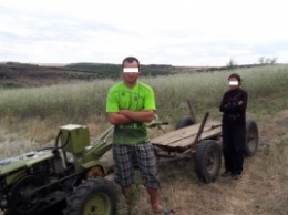 В Одесской области двое молдаван нарушили госграницу с Украиной, чтобы наворовать кукурузы