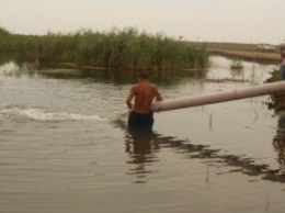 В реку Берда около Старопетровки Бердянского района выпустили тысячи мальков осетра