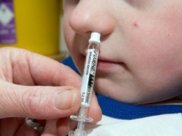 Прививка от гриппа через назальный спрей по эффективности не уступает уколу