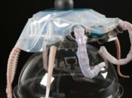 Разработан мягкотелый робот-осьминог