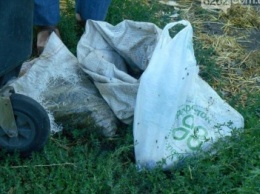 На КАТП Славянска трупы животных выбрасывают в мусорный бак