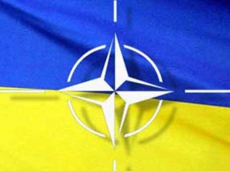 Минобороны: курс на вступление в НАТО неотвратим