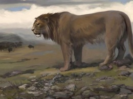 Ученые клонируют пещерных львов, вымерших вместе с мамонтами