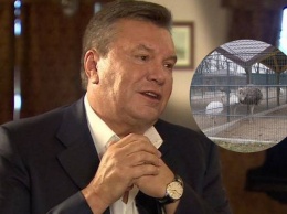 Янукович дал интервью западным СМИ (ВИДЕО)