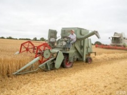 Цены на пшеницу в мире - минимальные за последние 10 лет