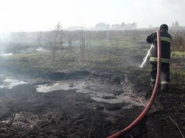 В Житомирской области продолжается ликвидация возгорания торфа