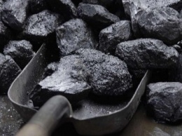 За законность закупки угля для школ Черниговщины взялась прокуратура