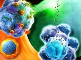 Ученые поняли, как печень предотвращает попадание наночастиц в раковые клетки