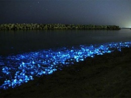 Одесский фотограф запечатлел невероятное светящееся море (ФОТО)