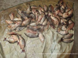 Пограничники задержали браконьера с сетками и рыбой в Херсонской области