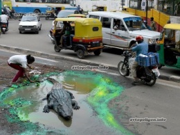 В Индии художник борется за ровные дороги, разместив в дорожной яме крокодила. ФОТО