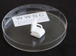 В Швеции появилась экологическая 3D-печать из древесного полимера