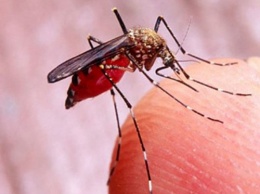 Шри-Ланке удалось победить эпидемию малярии