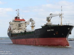 Подробности бунта на турецком корабле, шедшего из Николаева в Иорданию