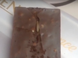 В шоколаде Roshen нашли червя