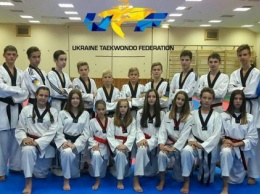 Николаевские спортсменки представят Украину на чемпионате Европы по тхэквондо