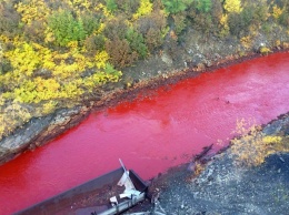 В России река Далдыкан окрасилась в красный цвет: чего ждать жителям Норильска?