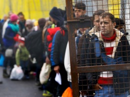 Австрия созывает саммит по беженцам