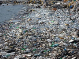 Госдеп США: К 2050 году пластика в океане будет больше, чем рыбы