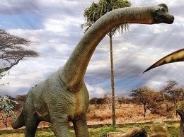 Новый вид динозавров нашли археологи в Сибири