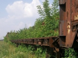 «Рост» экономики «ДНР»: железнодорожные пути уже поросли кустарником