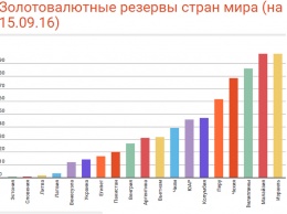Золотовалютные резервы Украины сравнили с запасами других стран. ИНФОГРАФИКА