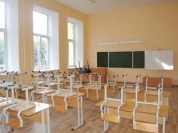 В Екатеринбурге школу закроют на дезинфекцию после выборов