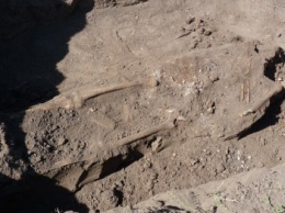 В Александрии нашли скелет с гранатой
