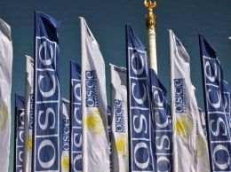 Украина просит ОБСЕ проверить радиационный фон на Донетчине
