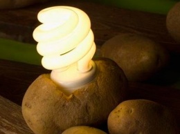 Любите картофель? А как насчет того, чтобы использовать его вместо...настольной лампы?