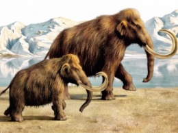 Под Новосибирском обнаружено рекордное кладбище мамонтов