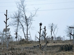 На русском кладбище в Грозном пасут скот