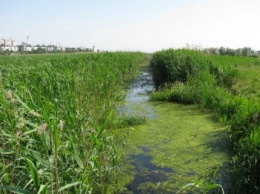 Концы в воду: херсонская река Веревчина под угрозой загрязнения