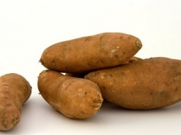 Диабетикам рекомендуют употреблять выращенный в Онтарио картофель