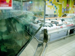 Рыболовы заявили о катастрофической ситуации с качеством рыбной продукции в супермаркетах Украины