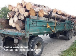 Полицейские изъяли 25 кубометров незаконной древесины в Ровенской области