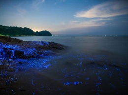 Волшебное свечение у берегов Японии. Сказочное зрелище!