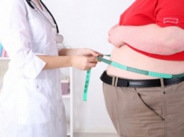Ученые: Кишечные бактерии являются причиной ожирения