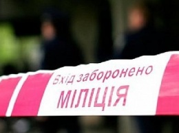 Неизвестные ночью кинули гранату во двор частного дома в Киеве