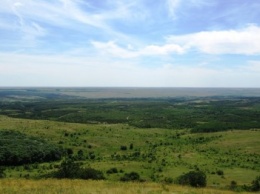 Часть лесов на Донбассе остается заминированной - экологи