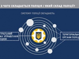 Из чего состоит новая полиция и Черниговская патрульная служба? Инфографика