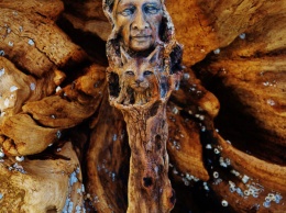 Забытые истории океана в великолепных скульптурах из плавучего леса